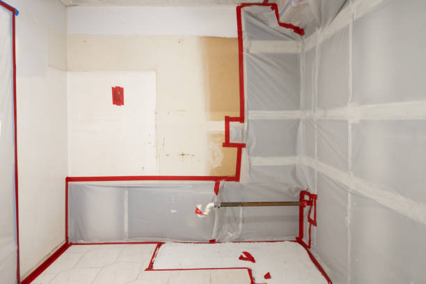 Best Commercial Mold Inspection  in De Motte, IN