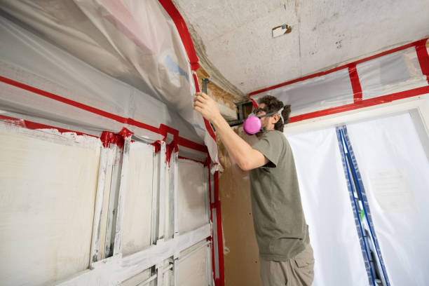 Best Mold Damage Restoration  in De Motte, IN