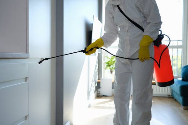 Best Water Damage & Mold Remediation  in De Motte, IN