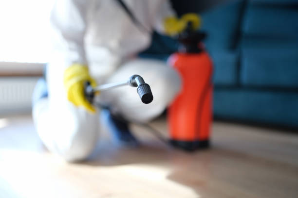 Best Air Quality Testing for Mold Spores  in De Motte, IN