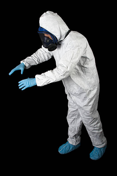 Best Basement Mold Removal  in De Motte, IN