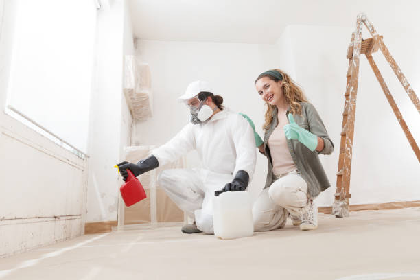 Best Post-Construction Mold Inspection  in De Motte, IN