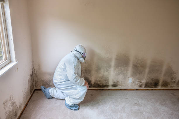 Best HVAC Mold Inspection and Cleaning  in De Motte, IN