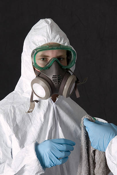 Best Mold Odor Removal Services  in De Motte, IN